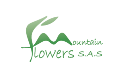 Clientes-Mountain